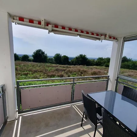 Hopfenbluete * Tettnang